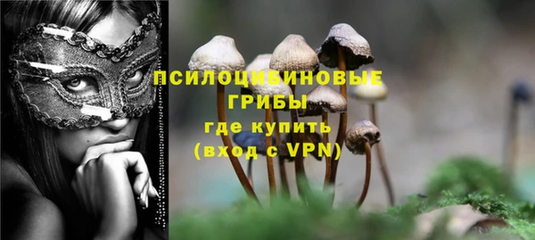 ГАЛЛЮЦИНОГЕННЫЕ ГРИБЫ Кинешма