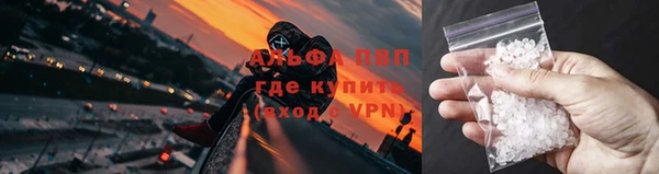 ГАЛЛЮЦИНОГЕННЫЕ ГРИБЫ Кинешма