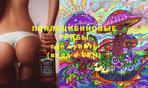 spice Киренск